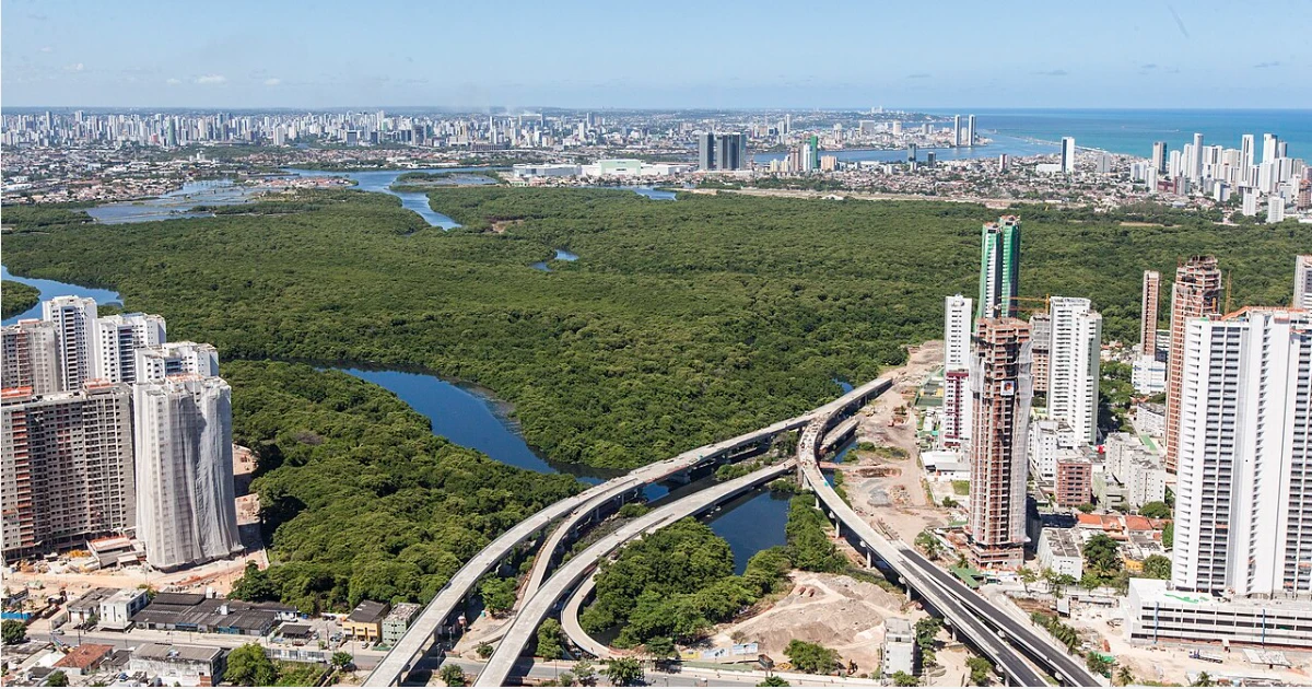 Via Mangue em construção: viaduto cercado por manguezais, com prédios e a orla do Recife ao fundo